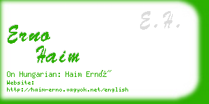 erno haim business card